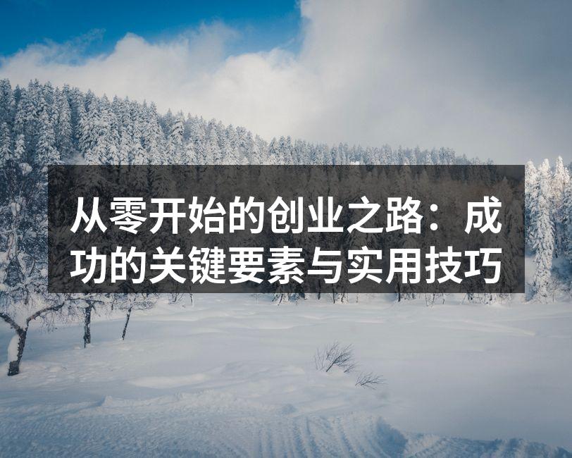从零开始的创业之路：成功的关键要素与实用技巧