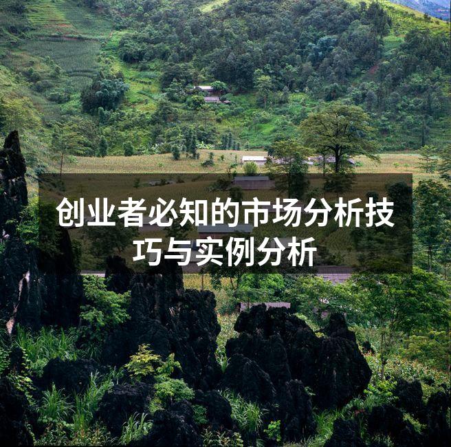 创业者必知的市场分析技巧与实例分析